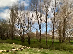 Ifrane National Park