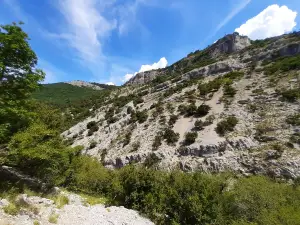 Val Rosandra Nature Reserve