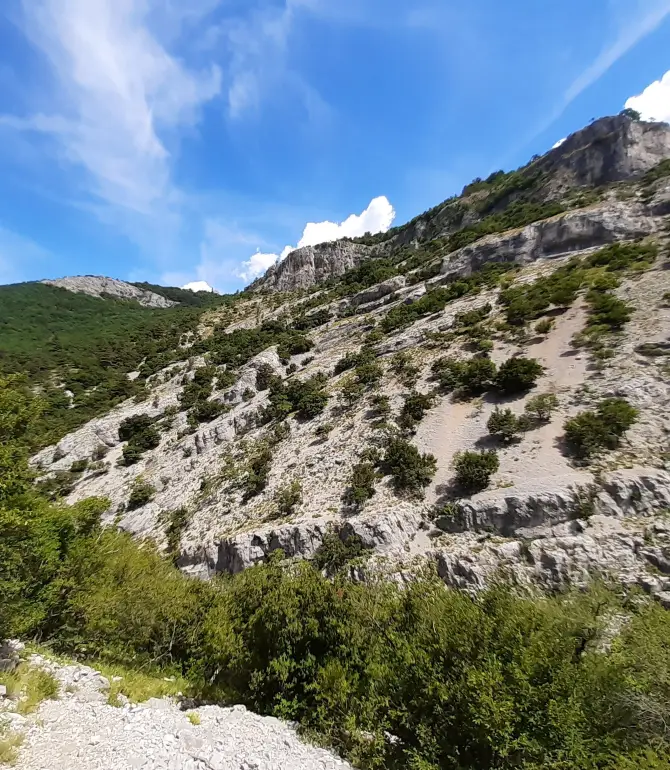 San Dorligo della Valle