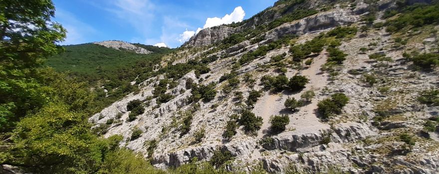 Val Rosandra Nature Reserve