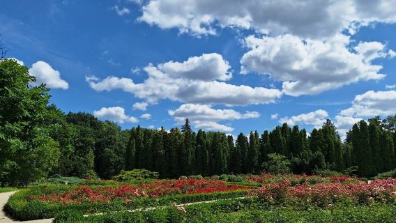 Botanical Garden of Adam Mickiewicz University