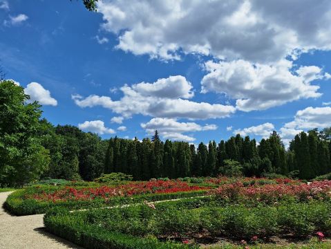 Botanical Garden of Adam Mickiewicz University