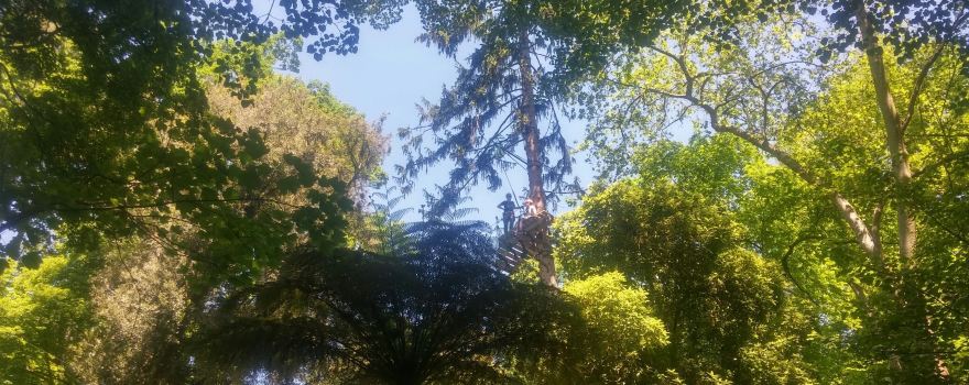 Treetops Adventure Belgrave