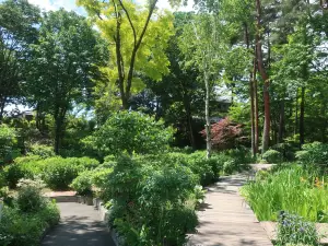 Kantenpapa Garden