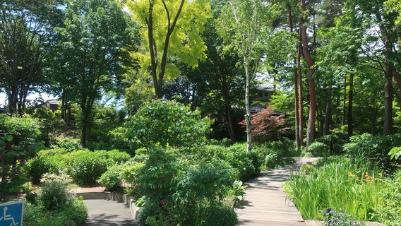 Kantenpapa Garden