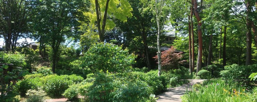 Kantenpapa Garden