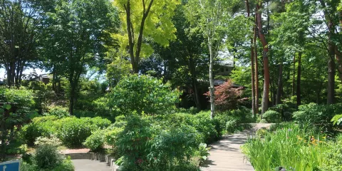 Kantenpapa Garden