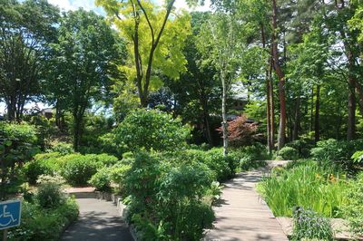 Kantenpapa Garden