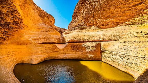 Canon de los Perdidos
