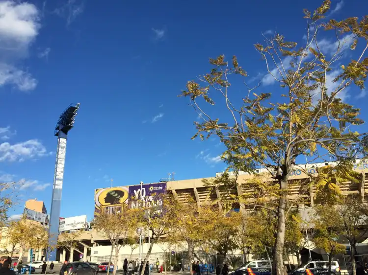 Hotels near Estadio Jose Rico Perez