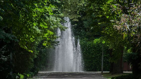 Mannheim