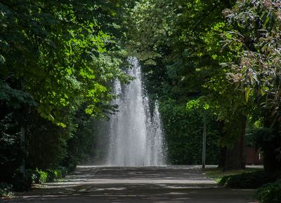 Herzogenriedpark