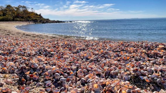 Bluff Point State Park