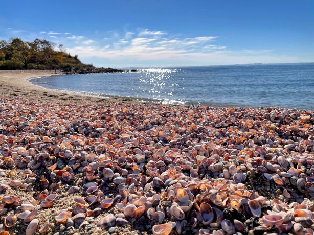 Bluff Point State Park