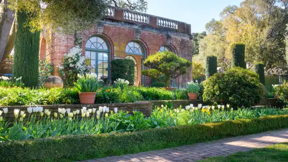 美國舊金山金門公園+九曲花街+漁人碼頭+斐洛里莊園一日遊