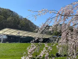 Tenshochi