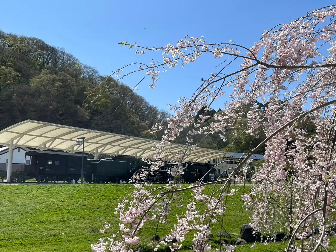 Hotel in zona Tenshochi