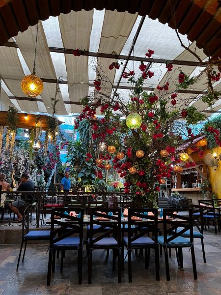 Pensacola to San Jose del Cabo Flights