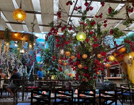 聖何塞德爾卡沃 自由行套票