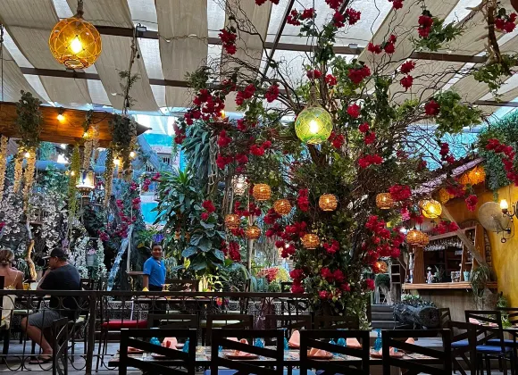 聖何塞德爾卡沃