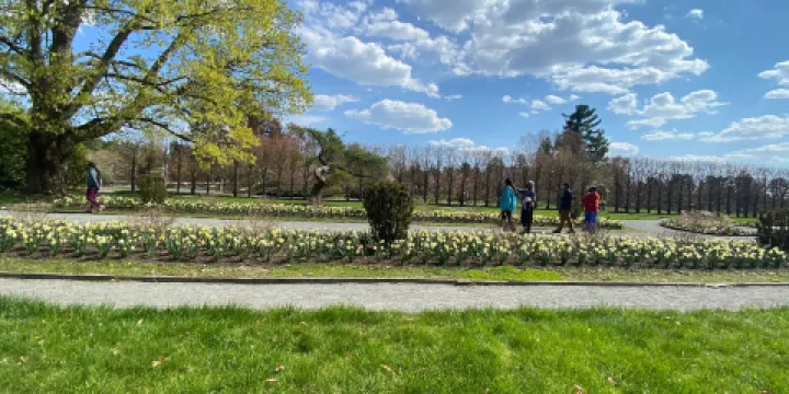 Massachusetts Horticultural Society - Garden at Elm Bank