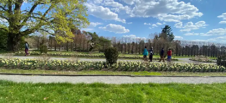 Hotels in Norfolk County