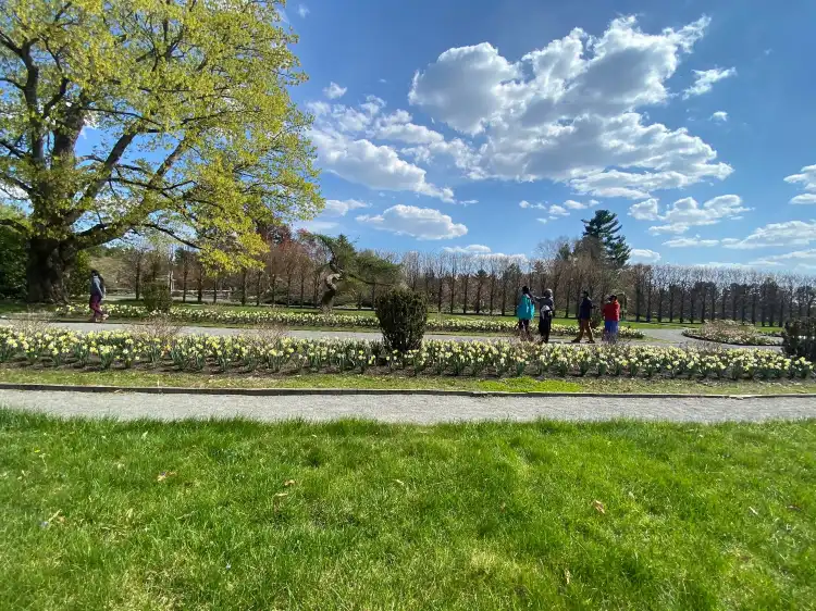 Hotels in Norfolk County