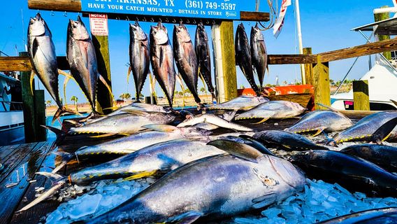 Deep Sea Headquarters