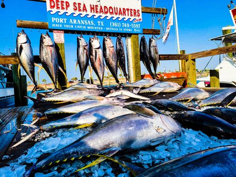 Deep Sea Headquarters