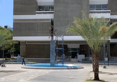 Modern Art Museum (Museo de Arte Moderno)