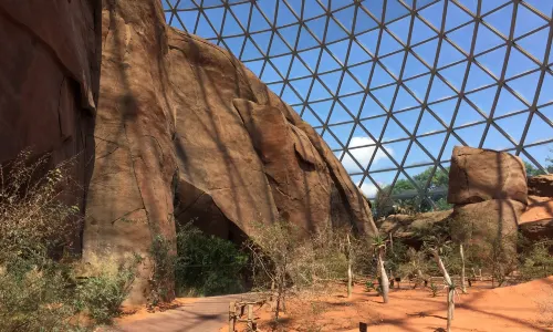 Omaha's Henry Doorly Zoo and Aquarium