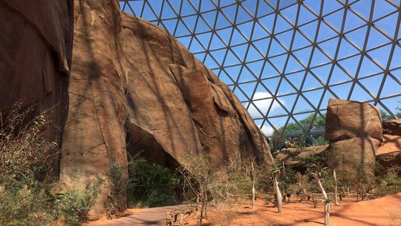 Omaha's Henry Doorly Zoo and Aquarium