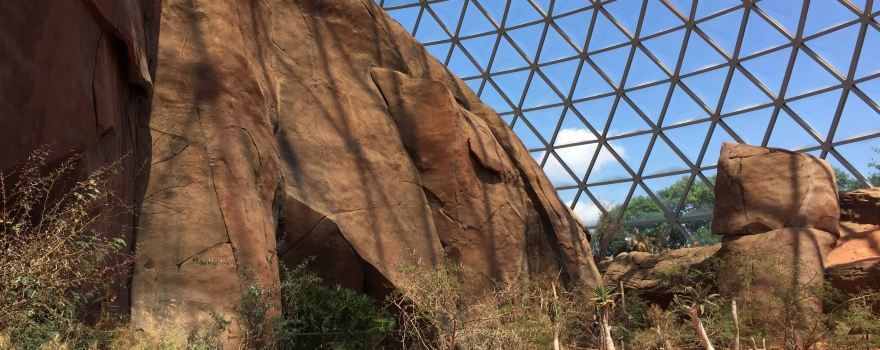 Omaha's Henry Doorly Zoo and Aquarium