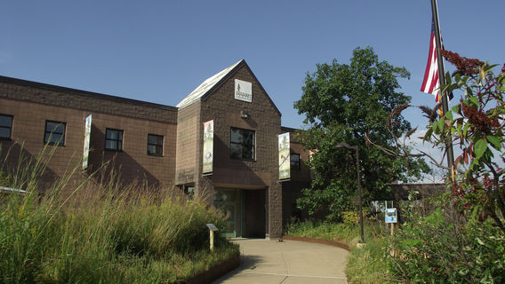 Albany Pine Bush Preserve