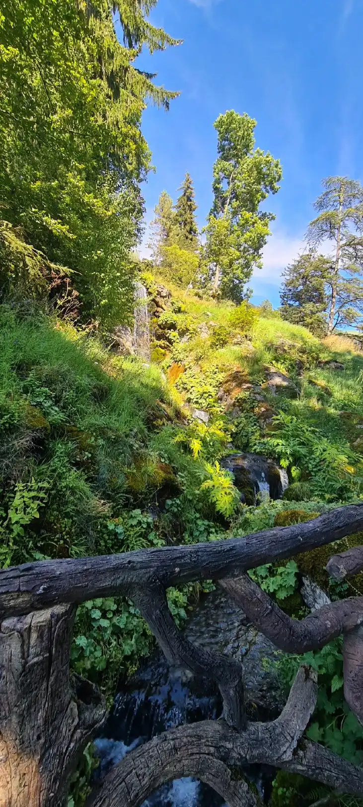 فنادق في Samoens