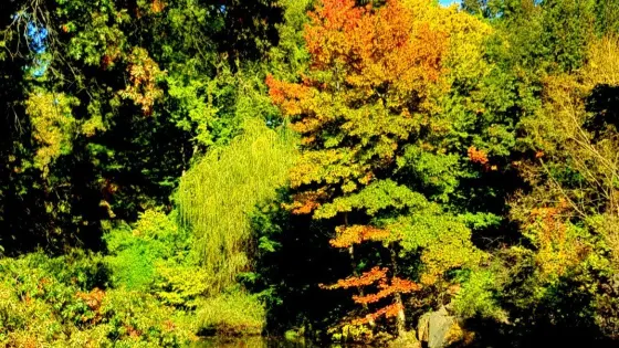 莎士比亞公園