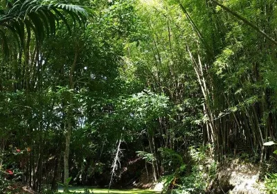 Couva