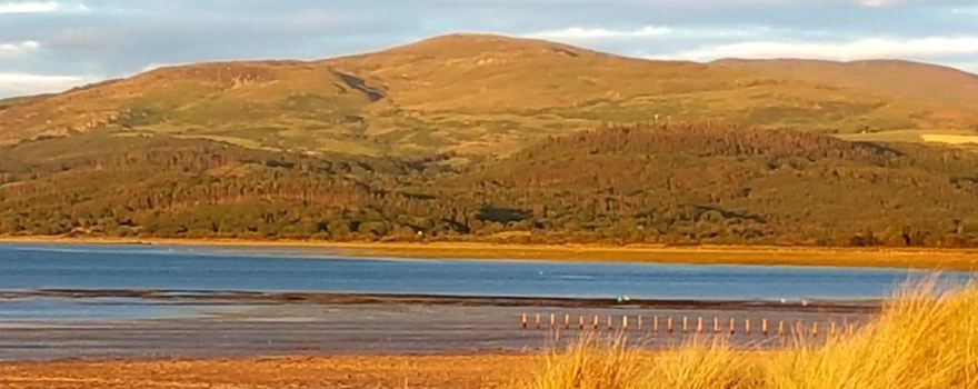 Ynyslas National Nature Reserve