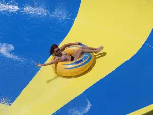 Acqua Palace