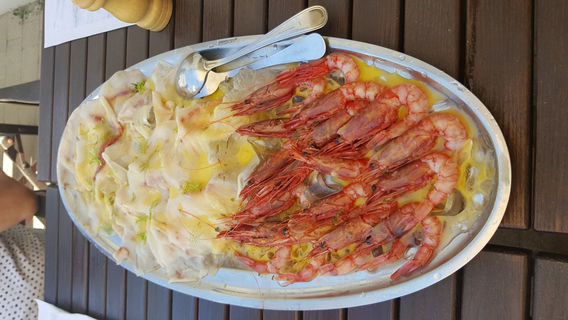 Bagno Playa del Carmen 84