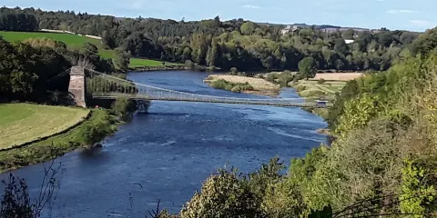 Chain Bridge Honey Farm