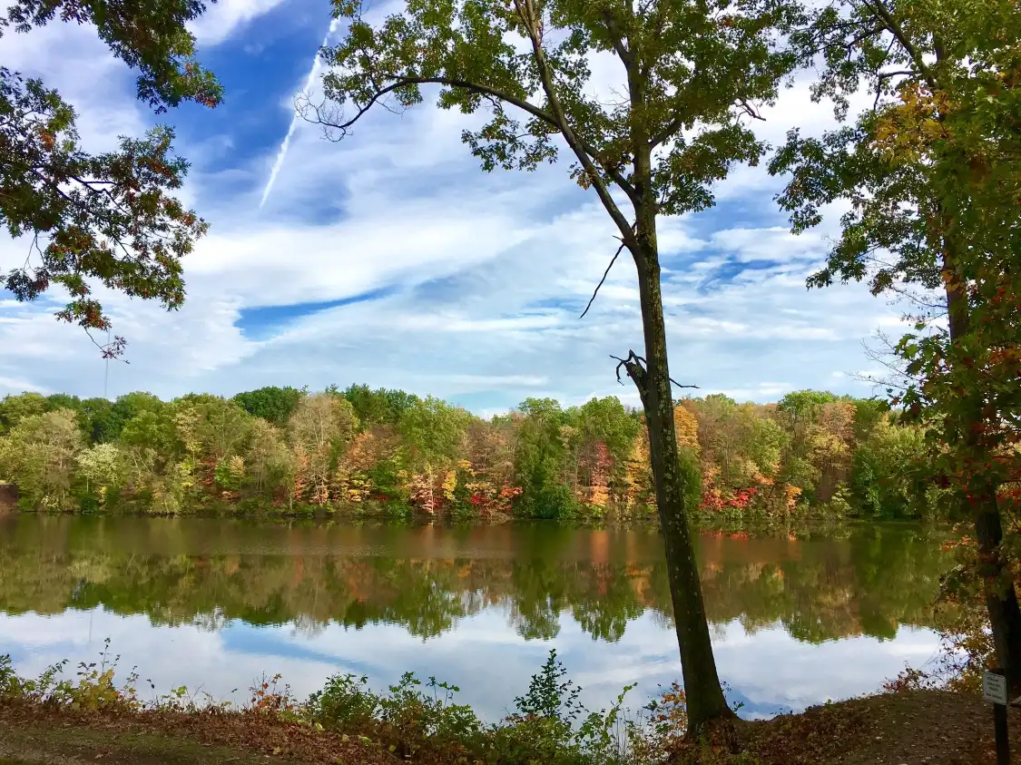 Hotels near Mill Creek Park
