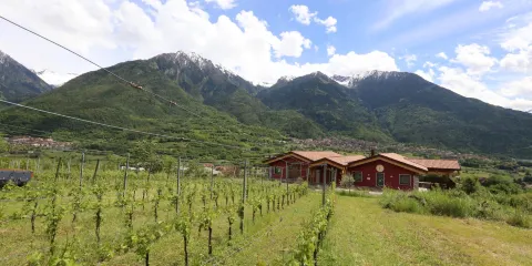 Cantina Rocche dei Vignali