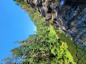 Hedge Creek Falls
