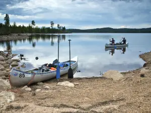 Wilderness in Värmland