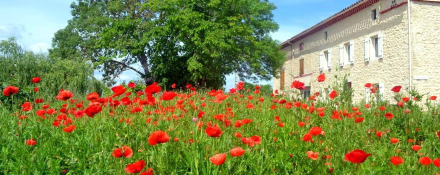 Clos Rocailleux