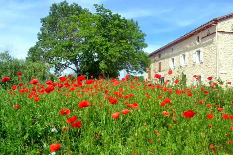 Các khách sạn ở Cahuzac-sur-Vere