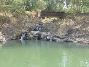 อุทยานแห่งชาติแม่ยม
