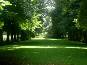 Marbury Country Park