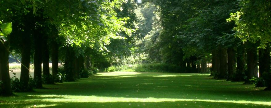Marbury Country Park